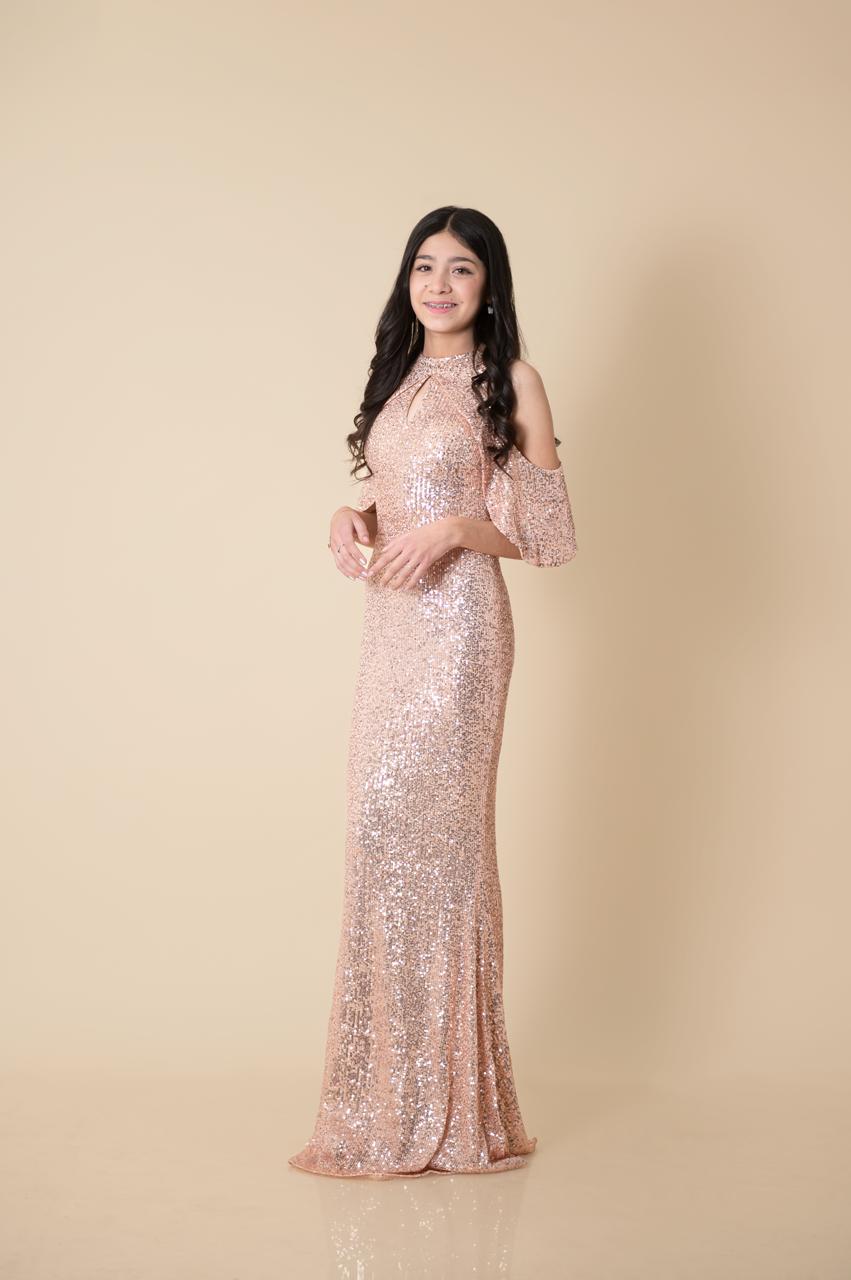 imagen de el vestido